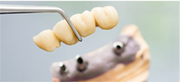 Dentist, Lecanto Florida